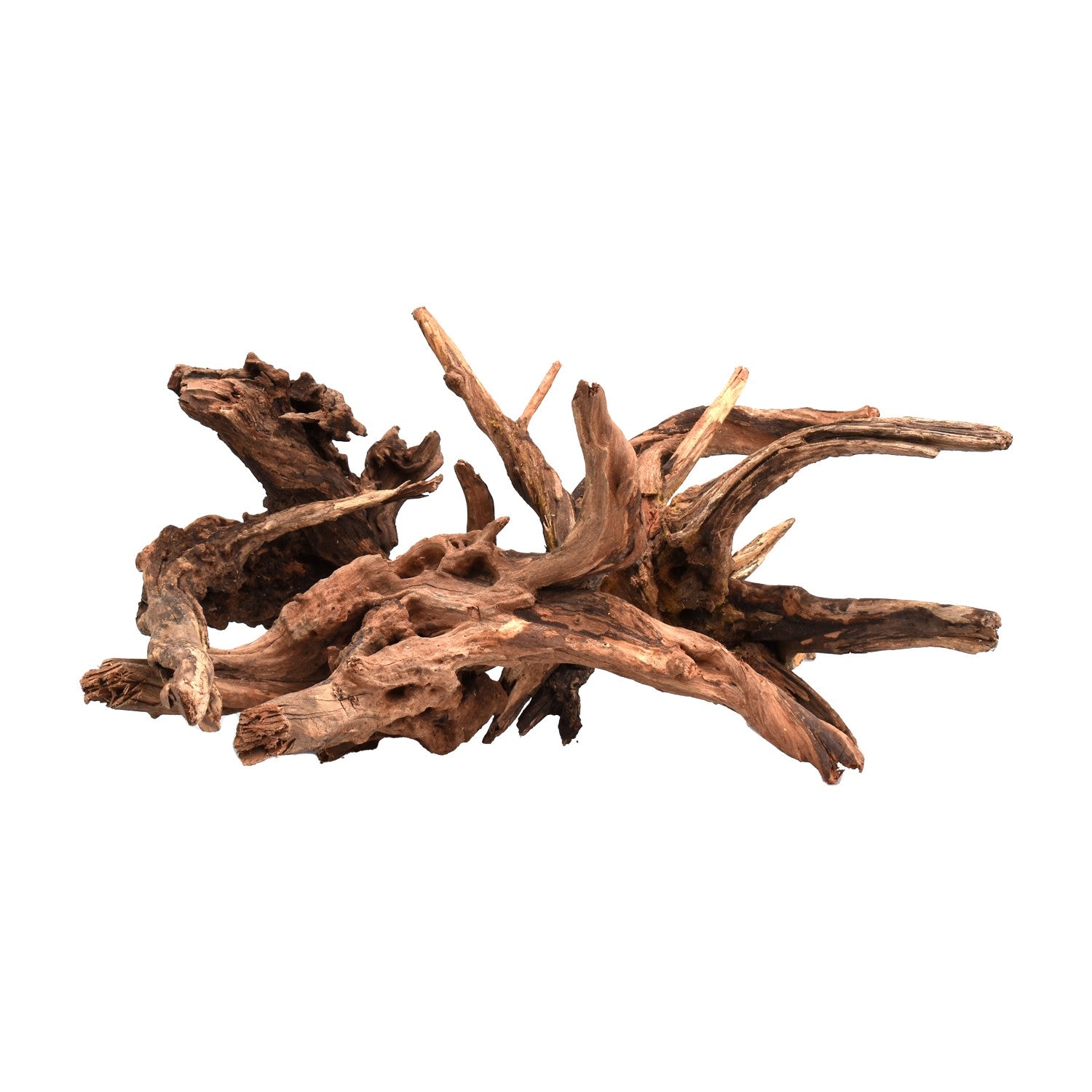 AQPET Legno Naturale Drift Wood Medium AQPET Legno Naturale Drift Wood Medium